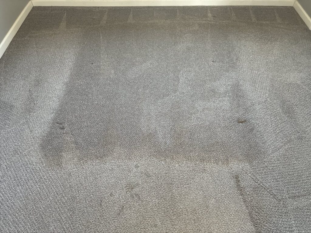 A stained and dirty grey carpet before professional cleaning by Rent A Vet Carpet Cleaning in St. Charles, MO.