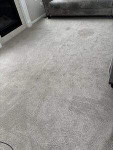 A grey carpet with visible stains and dirt, ready for professional cleaning by Green Dragon Carpet & Upholstery Cleaning LLC in Boise, ID.
