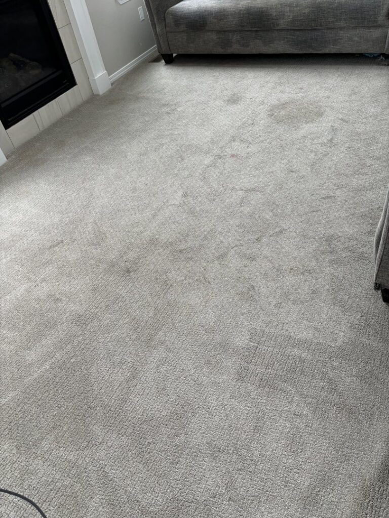 A grey carpet with visible stains and dirt, ready for professional cleaning by Green Dragon Carpet & Upholstery Cleaning LLC in Boise, ID.