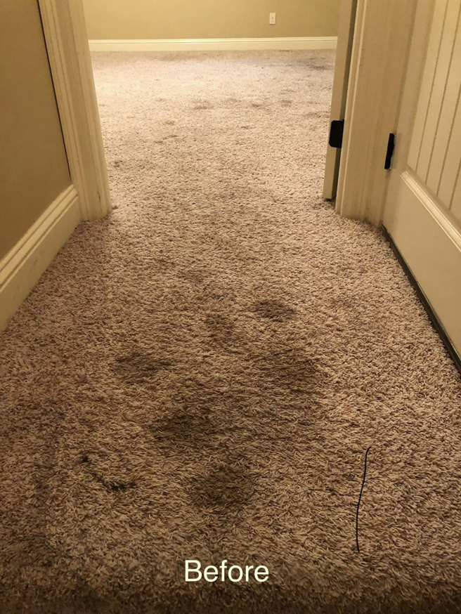 A hallway with stained light brown carpet before cleaning by Absolutely Clean Carpet Care in Bossier City, LA