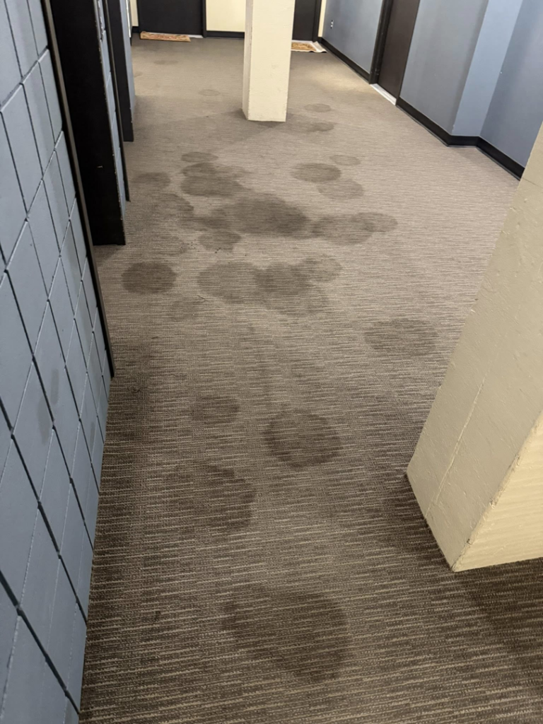A heavily stained hallway carpet before cleaning by Midwest Carpet Rescue in Omaha, NE.