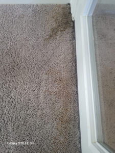 A stained and dirty textured carpet near a door frame, ready for cleaning by Heaven's Best Carpet Cleaning in San Antonio, TX.