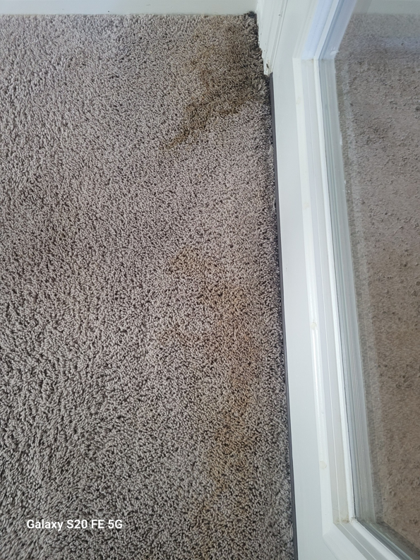 A stained and dirty textured carpet near a door frame, ready for cleaning by Heaven's Best Carpet Cleaning in San Antonio, TX.