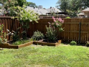 A stained wood fence enhancing the beauty of a backyard with flowering plants and garden beds by Fence Defense, LLC in Plano, TX.