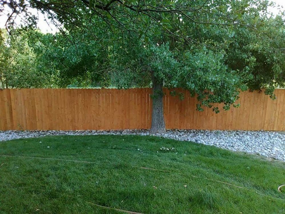 A newly installed and stained wood privacy fence in a residential backyard by Done Wright Fencing and Welding in Denver, CO.