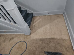 Before and after carpet cleaning on stairs and landing by Andy's Cleaning Company LLC in Topeka, KS.