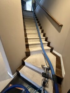 Carpet cleaning in progress on a long staircase using professional equipment by Tailor Maid Carpet Cleaning in Colorado Springs, CO.
