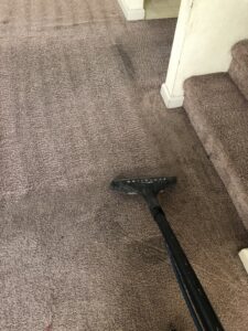 A carpet cleaning wand being used to clean a carpeted staircase by Todd White Carpet Care LLC in Tallahassee, FL.