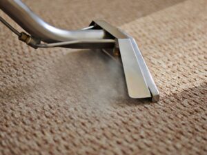 A close-up of a steam carpet cleaning wand in action on a light brown carpet by Get Green Carpet Cleaning CT in West Hartford, CT.