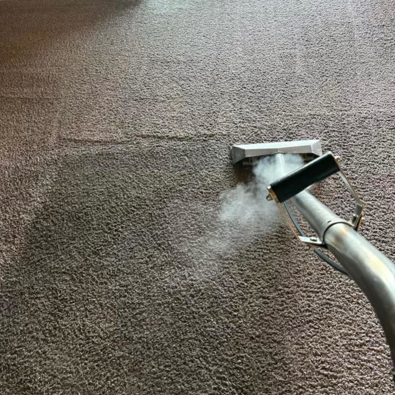 Steam carpet cleaning in progress by Dakota's Mr.Color, providing professional services in Wilsonville, OR.