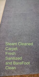 Steam cleaned carpet, fresh and sanitized, by BareFoot Clean, Inc. in Virginia Beach, VA.