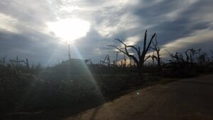 Storm debris and fallen trees requiring general junk removal by Dougherty Heating & Cooling in Albany, GA