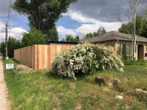 A newly installed street-side privacy wood fence by Accent Fence & Design, enhancing a property in Lakewood, CO.