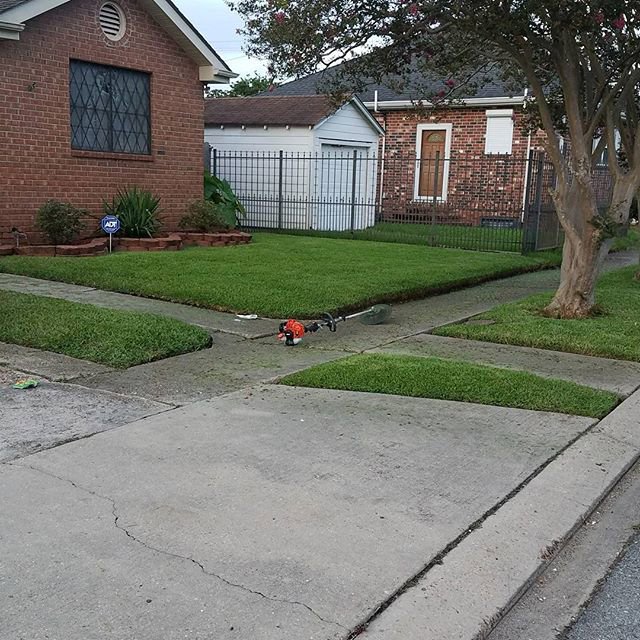 A string trimmer resting on the sidewalk next to a freshly mowed residential lawn by Mcfaith Lawn Care LLC in New Orleans, LA.