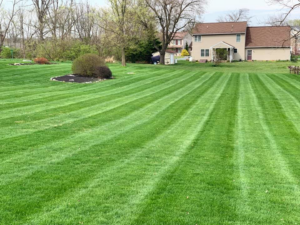 A beautifully striped backyard lawn, expertly maintained by Clean Cuts Lawn Care in Cavetown, MD.