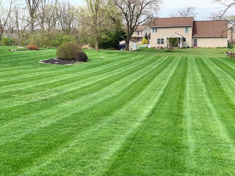 A beautifully striped backyard lawn, expertly maintained by Clean Cuts Lawn Care in Cavetown, MD.