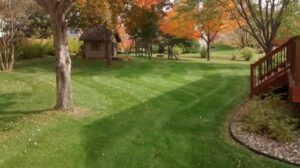A beautifully striped backyard lawn with a playset, maintained by Three Boys Lawncare in Rochester, MN.