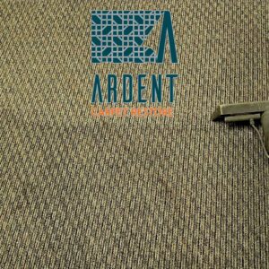 A carpet cleaning wand cleaning a striped carpet, showing a clean section by Ardent Carpet Restore in Sacramento, CA.