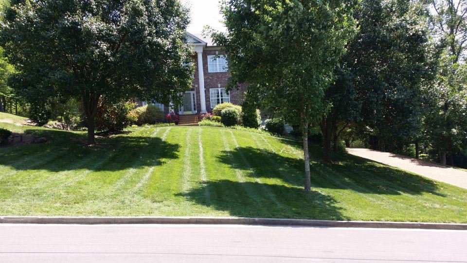A lush green lawn with professional mowing stripes, a signature service from King Lawn Care in Alexandria, VA.