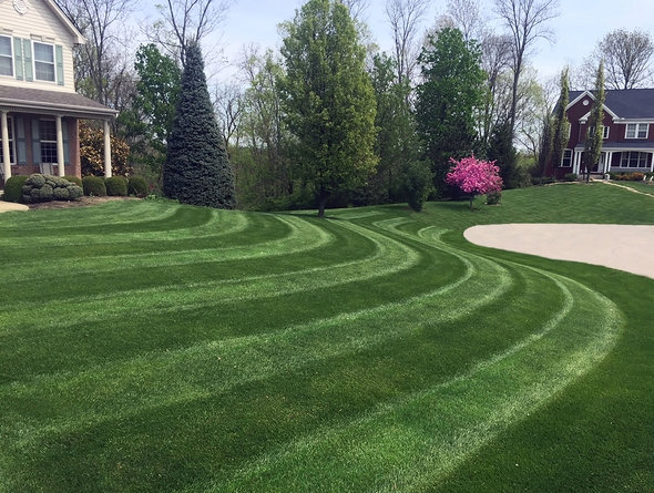 A perfectly mowed lawn with distinct stripes, showcasing professional lawn care by Greener Grounds Lawn and Tree in Birmingham, AL