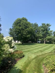 A beautifully striped and mowed lawn with lush landscaping, showcasing the quality work of Roots Lawn Care Solutions in Granger, IN.
