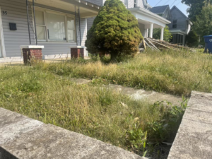 A front yard with tall, overgrown grass and weeds, indicating a need for professional lawn care from Elliott's Lawn Care & Landscaping in Lexington, KY.