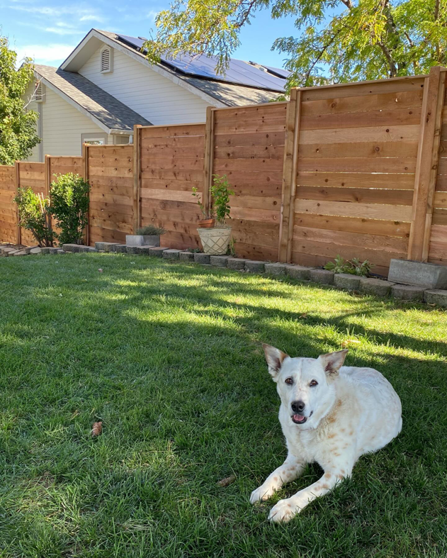 A tall wooden privacy fence enclosing a backyard, showcasing work by ZBros Fencing LLC in Boise, ID.