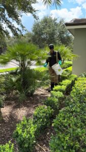 A Sorko Services technician applying granular pest control treatment around shrubs in Sanford, FL.