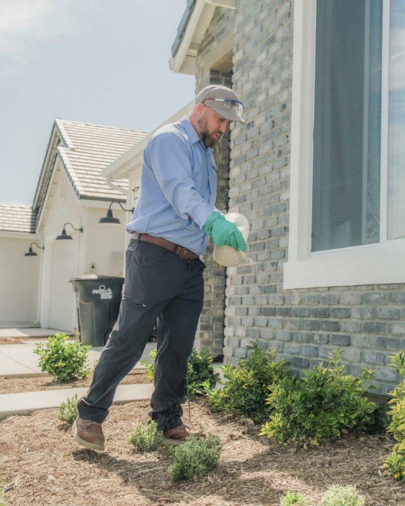 A Thrive Pest Pros technician applying granular pest control treatment around a house foundation in Clovis, CA.