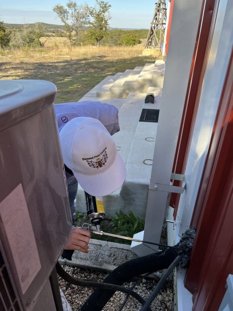 A Blessed Pest Control technician applying foam sealant for pest exclusion around an exterior pipe in San Antonio, TX