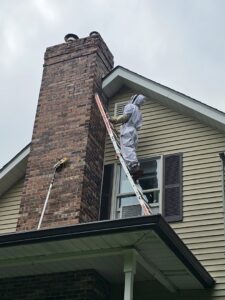 A technician in a protective bee suit on a ladder performing pest removal services for Serene Property Services LLC in Albany, NY