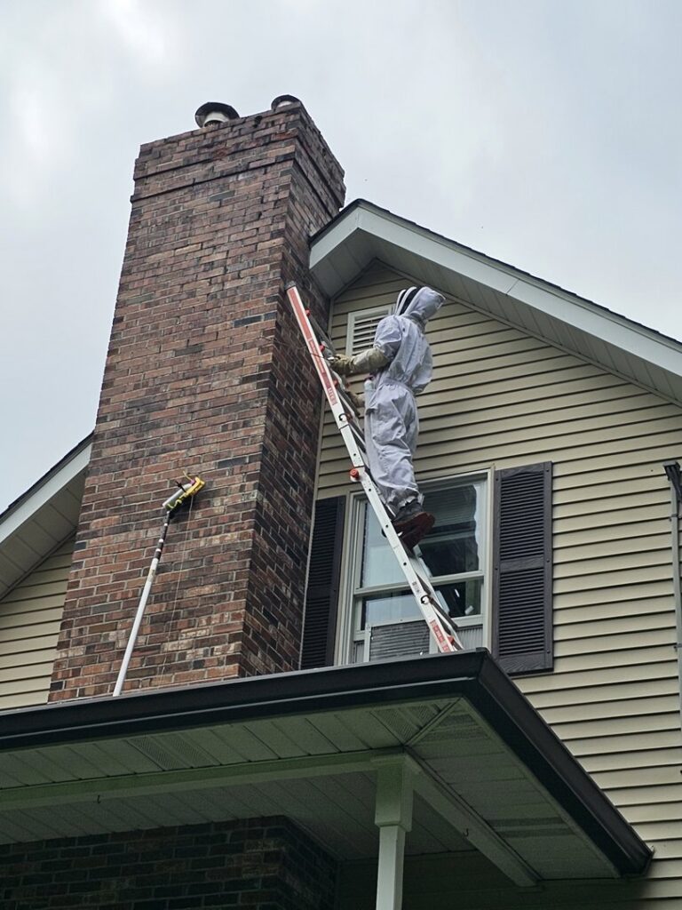 A technician in a protective bee suit on a ladder performing pest removal services for Serene Property Services LLC in Albany, NY
