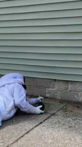 A pest control technician in a protective bee suit performing pest treatment near a building foundation for Modern Solutions Pest Control in Rockford, IL.