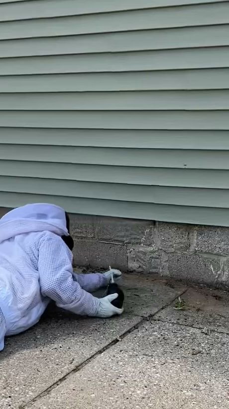 A pest control technician in a protective bee suit performing pest treatment near a building foundation for Modern Solutions Pest Control in Rockford, IL.