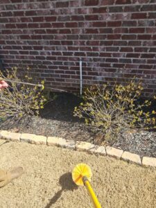 A technician from A Plus Pest Control using a long brush to treat or clean near a foundation in Huntsville, AL.