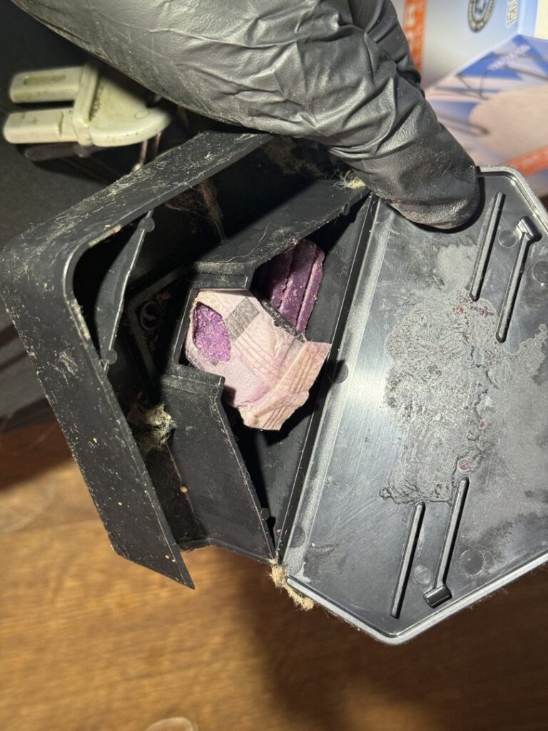 A technician's gloved hand opening a rodent bait station with purple bait, part of pest control services by Charm City Pest Control Solutions LLC in Baltimore, MD.