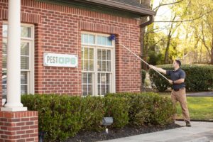 A Pest-Ops technician cleaning the exterior of a brick building with a long-handled brush for pest control in Knoxville, TN.