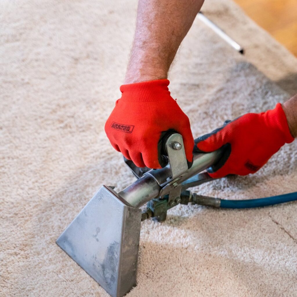 A technician wearing red gloves operating a carpet cleaning tool on a light-colored carpet by DanCare Carpet Cleaning in Albuquerque, NM