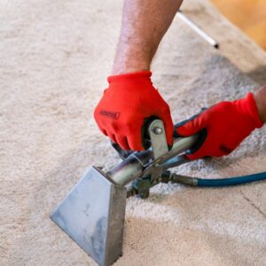 A technician wearing red gloves operating a carpet cleaning tool on a light-colored carpet by DanCare Carpet Cleaning in Albuquerque, NM