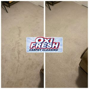 A technician from Oxi Fresh Carpet Cleaning operating a cleaning machine on a carpet in Las Vegas, NV.