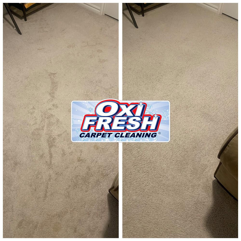 A technician from Oxi Fresh Carpet Cleaning operating a cleaning machine on a carpet in Las Vegas, NV.