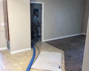 A technician cleaning carpet with professional equipment and hoses at Evolution Carpet Cleaning in Fresno, CA