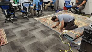 A technician carefully cleaning a large area rug at Rochester Cleanpro in Rochester, NY.