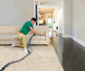 A technician cleaning a sofa and rug with professional equipment for Mountainview Chem-Dry in Birmingham, AL.