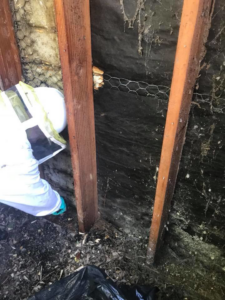 A pest control technician cleaning up the area after a bee hive removal by Benchmark Pest Control in Bakersfield, CA.