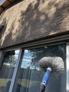 A Box Pest Control technician cleaning cobwebs from a window and exterior wall in Farmington, NM.