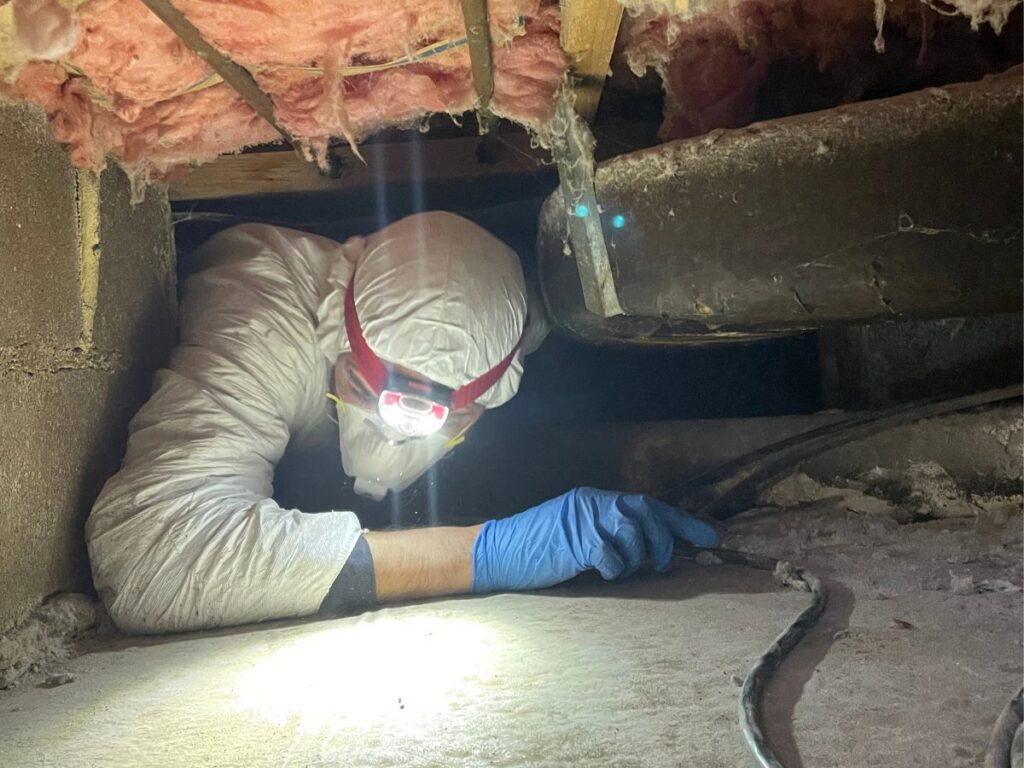 Technician in protective suit performing pest or wildlife control in crawl space for Colonial Exterminating Co Inc, Newport News, VA