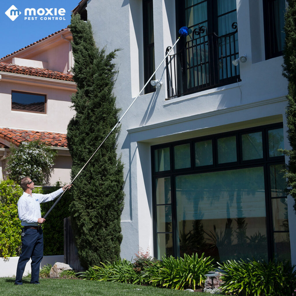 A Moxie Pest Control Bentonville technician dewebbing high areas and eaves of a house in Springdale, AR.