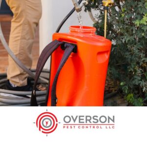 A pest control technician filling a sprayer tank with water from a hose for a job by Overson Pest Control LLC in Mesa, AZ