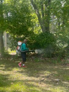 A Mosquito Joe of Columbia technician fogging trees and shrubs for pest control in a residential yard in Columbia, SC.